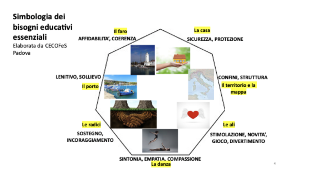 Immagine 7 dicembre 2024 - CECOFES